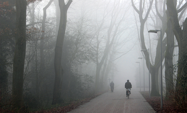 Datei:Napoleonsweg im Nebel.jpg