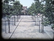 1971