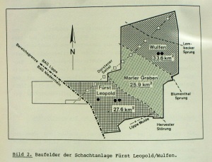 Karte Baufelder FLW.jpg
