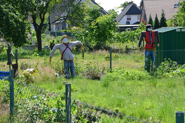 Datei:VogelscheuchenKleingartenanlageDoWulfen21 07 15 Wiki.jpg