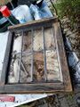 Glücklicherweise konnte man die Fenster heraus nehmen