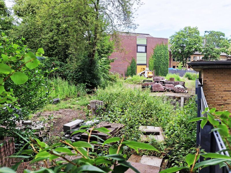 Datei:20260623 alter Schulgarten.jpg