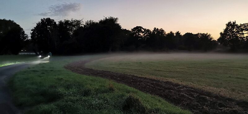 Datei:Kippheide im Abendnebel.jpg