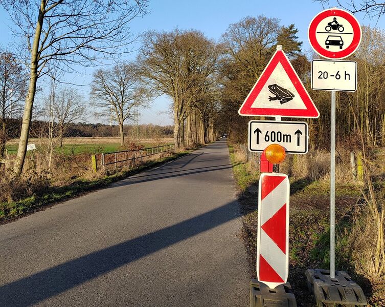 Datei:Strassensperre Frankenstraße Krötenwanderung.jpg