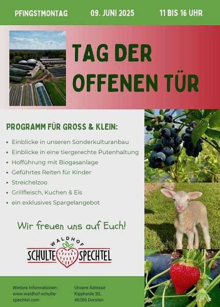 Datei:Schulte Spechtel ToT 25.jpg