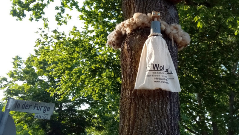 Datei:Woll Ex gegen Eichenprozessionsspinner.jpg